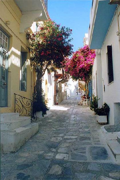 CHORA PATHWAY