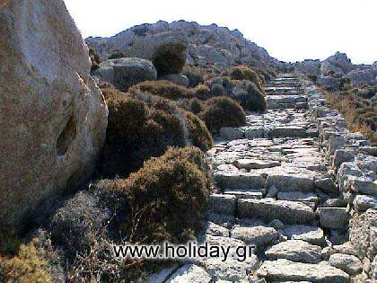 Delos pathway