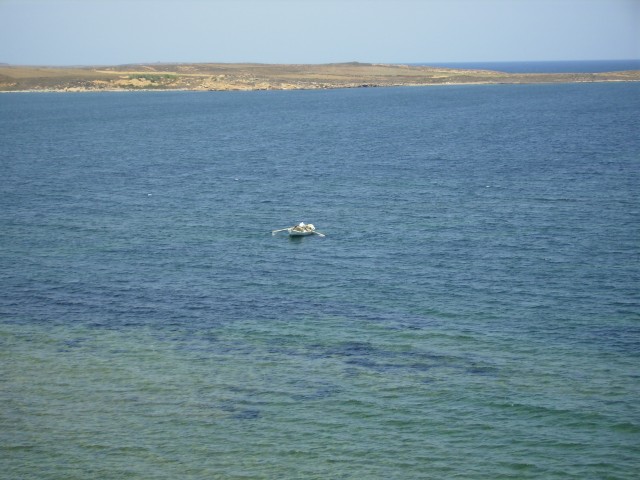 kotsinas