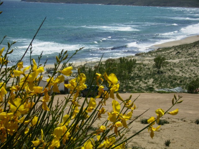 red rock beach