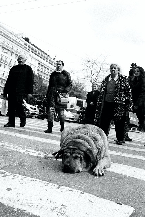 syntagma sq.