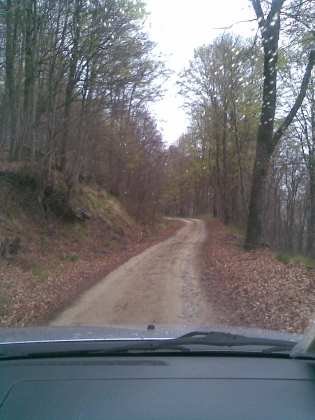 Vitsi Peak road