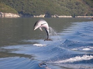 LEFKADA PHOTO