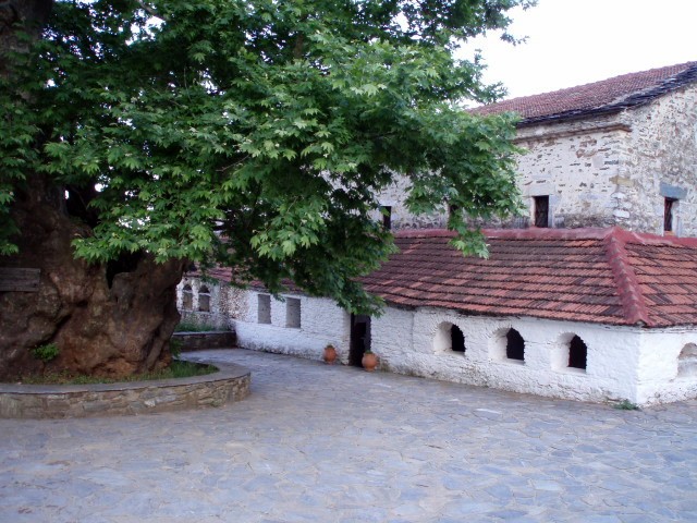 old skotina