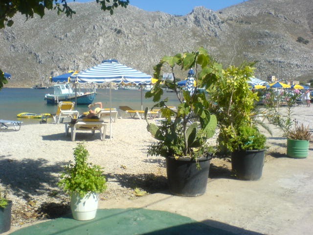 taverna tolis-pedi