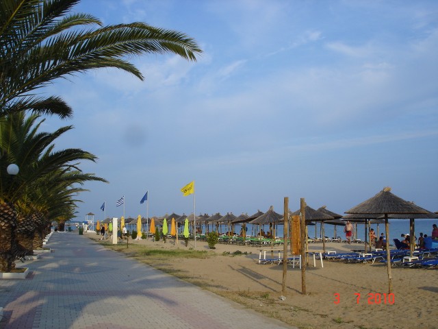 nea flogita