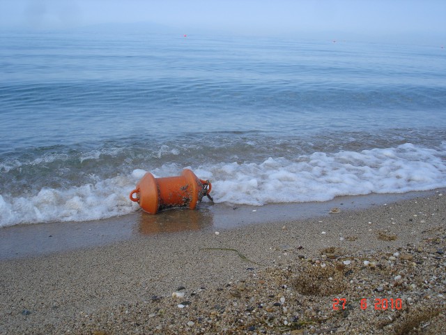nea flogita