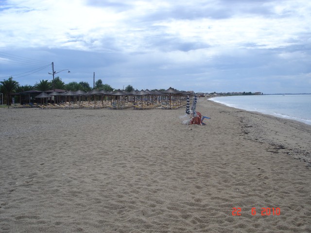 nea flogita