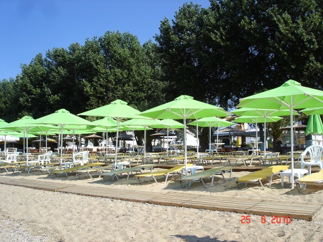 nea flogita