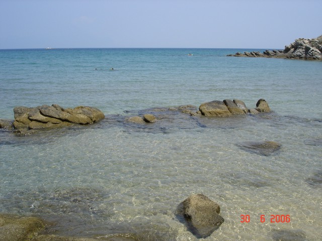 Sarti