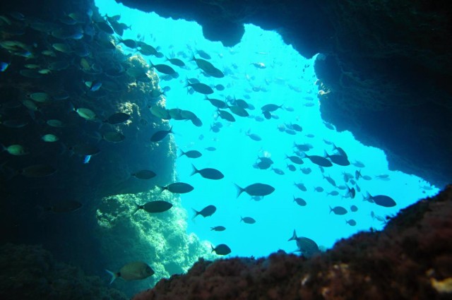 PALEOKASTRITSA PHOTO