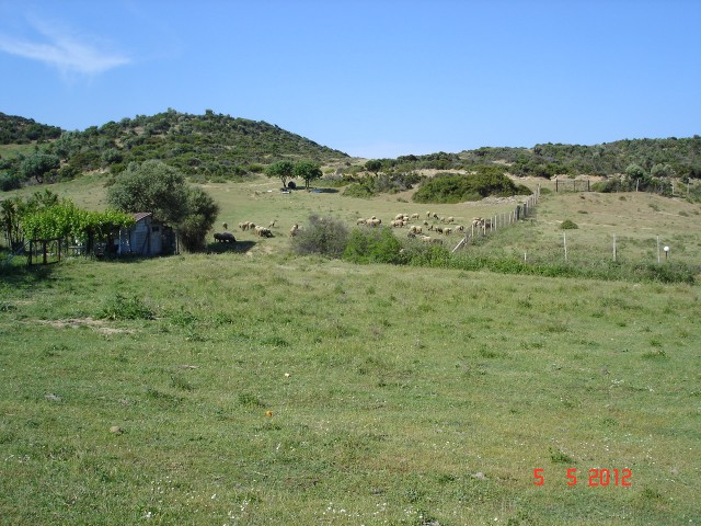 Agridia beach