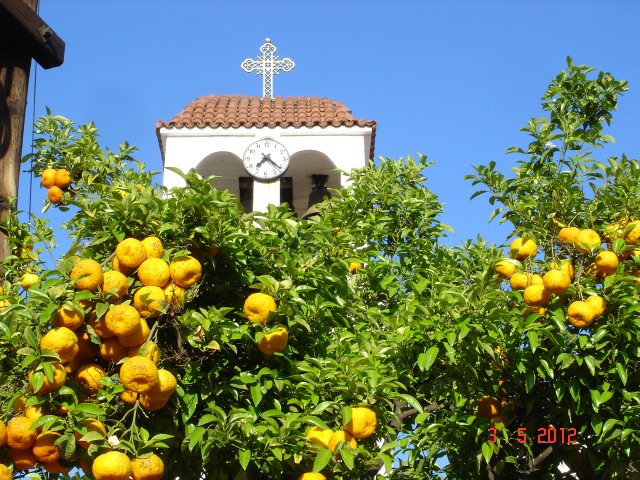 SARTI