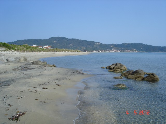 SARTI