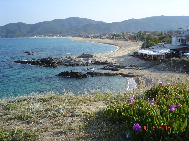 Sarti