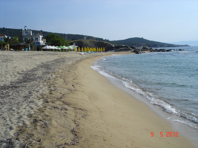 Sarti