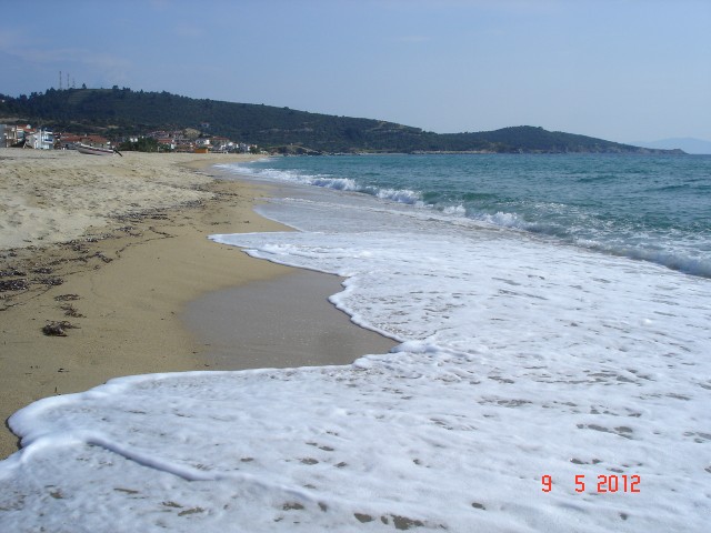 Sarti