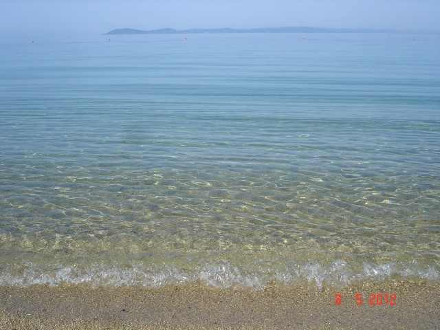 Toroni