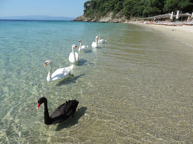 Ampelakia beach