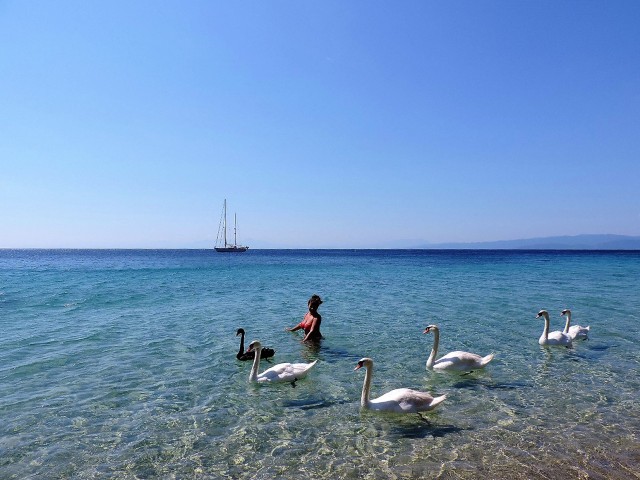 Ampelakia beach