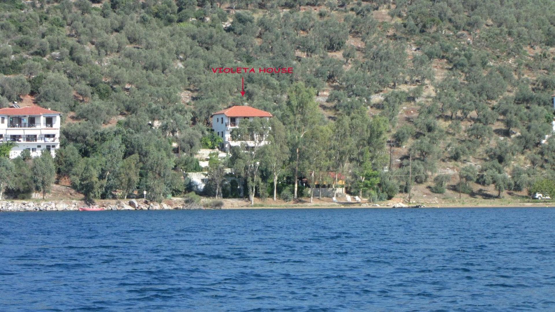 VIOLETTA STUDIOS & APARTMENTS