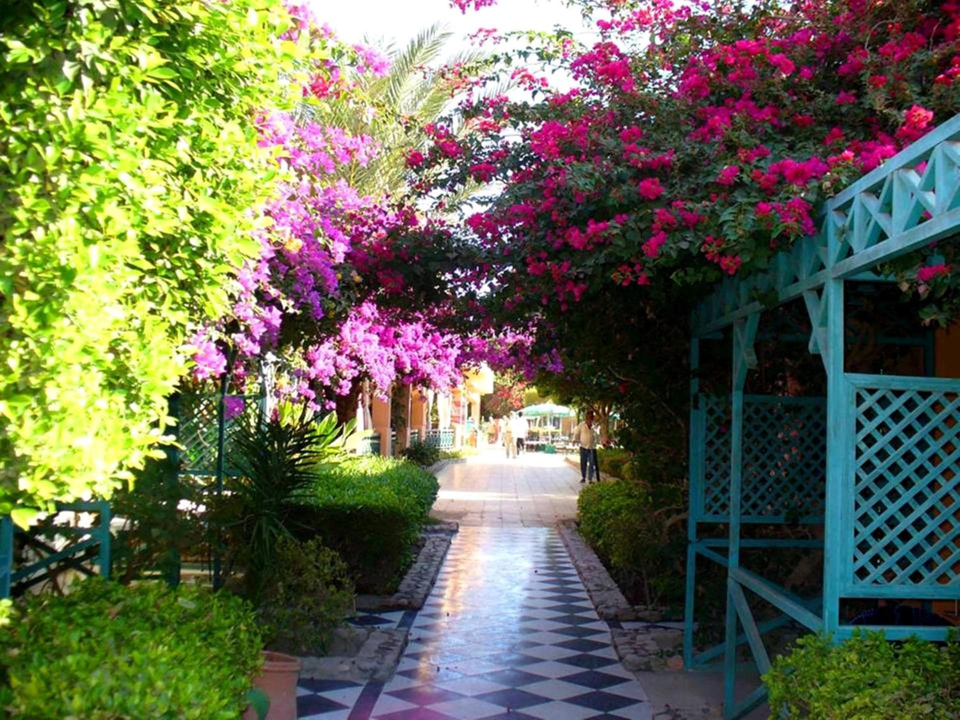 Bungalow Garden View