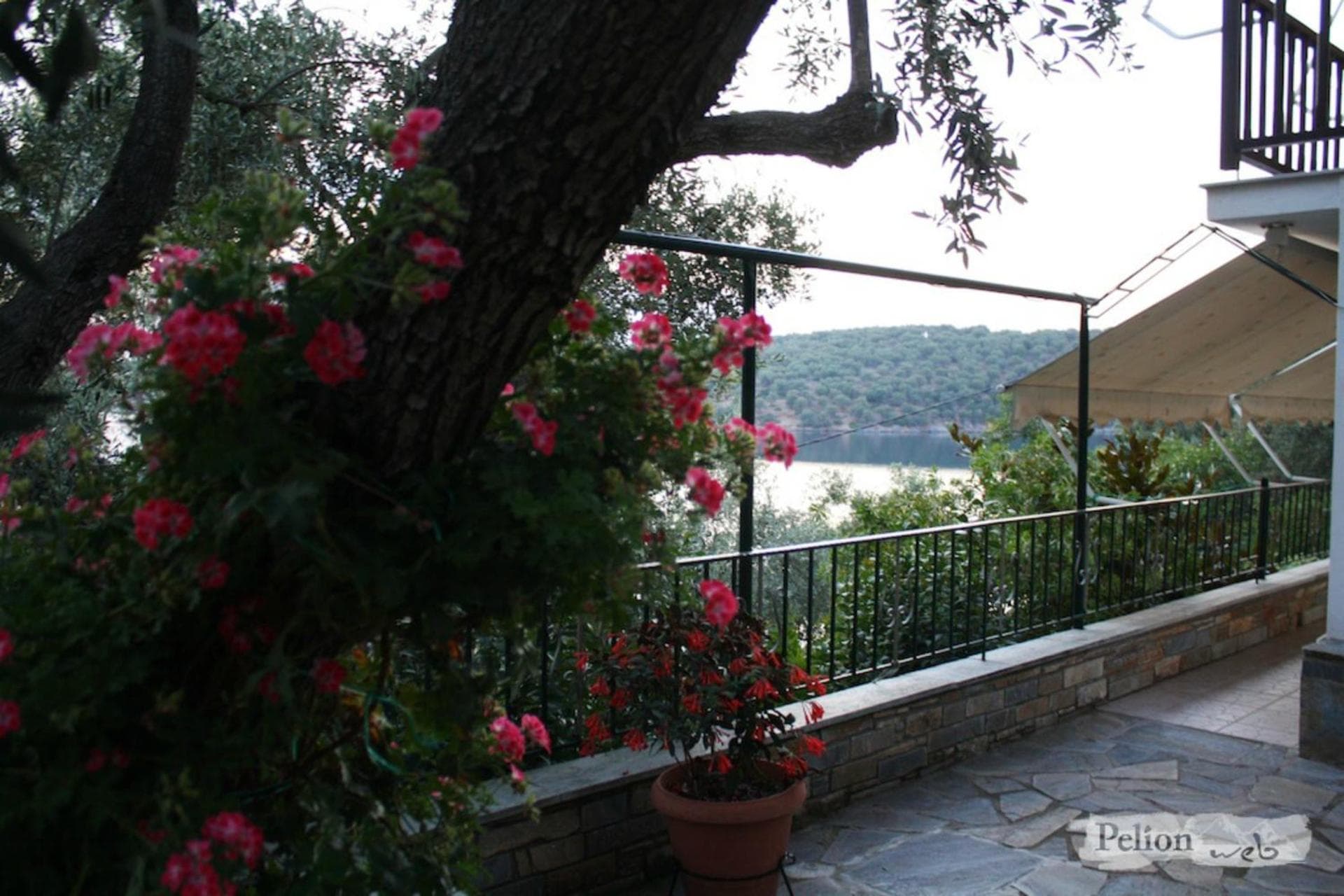 Apartment with Sea View (5 Adults)