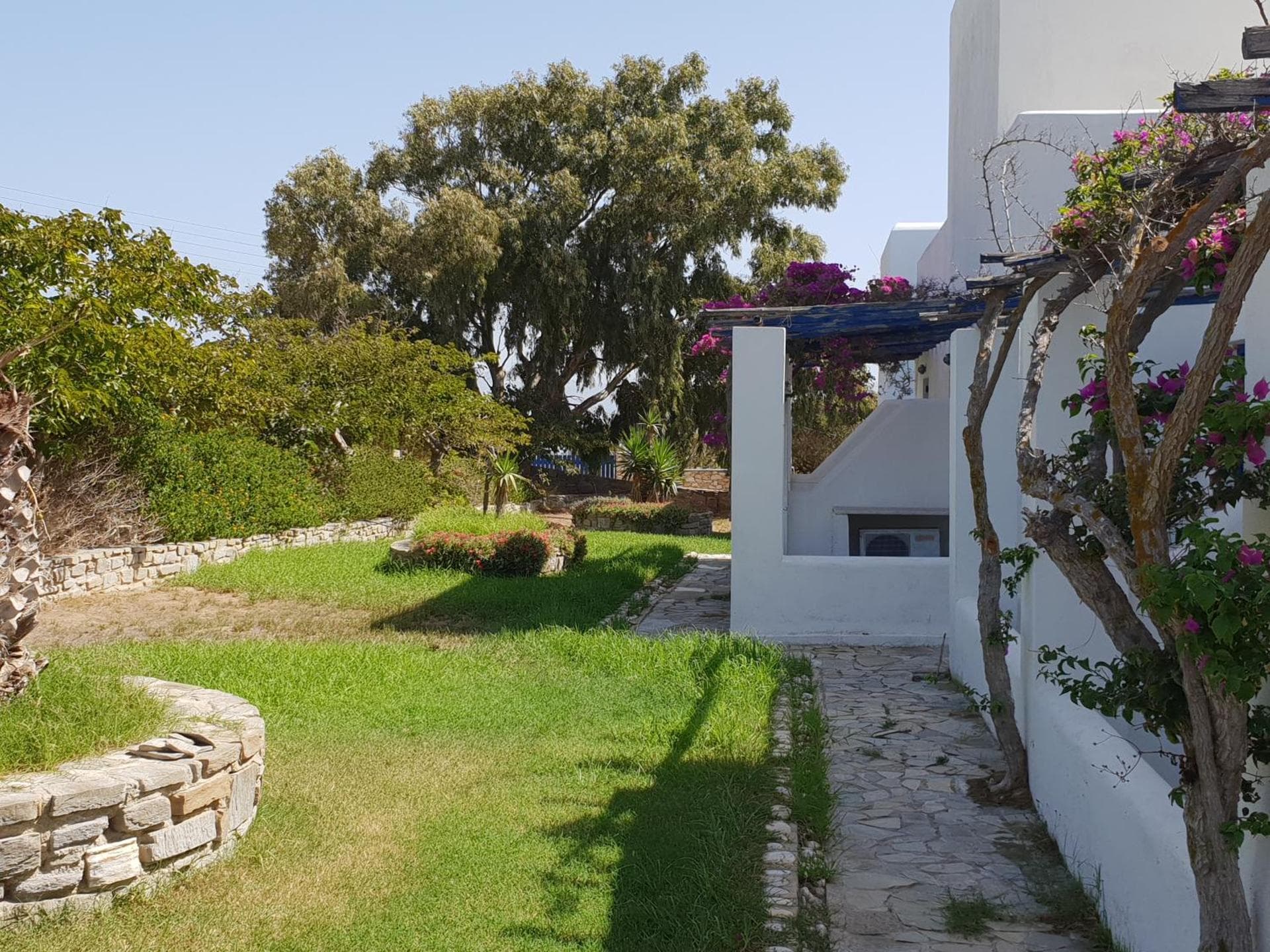 Single Room with Garden View