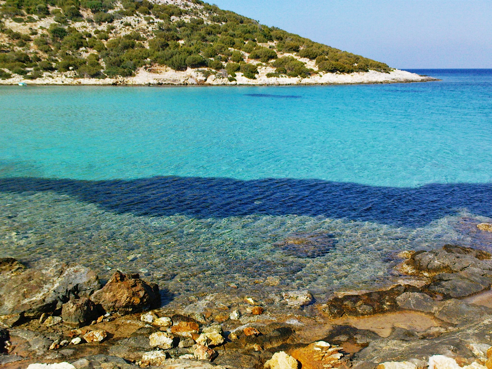 Δραστηριότητες