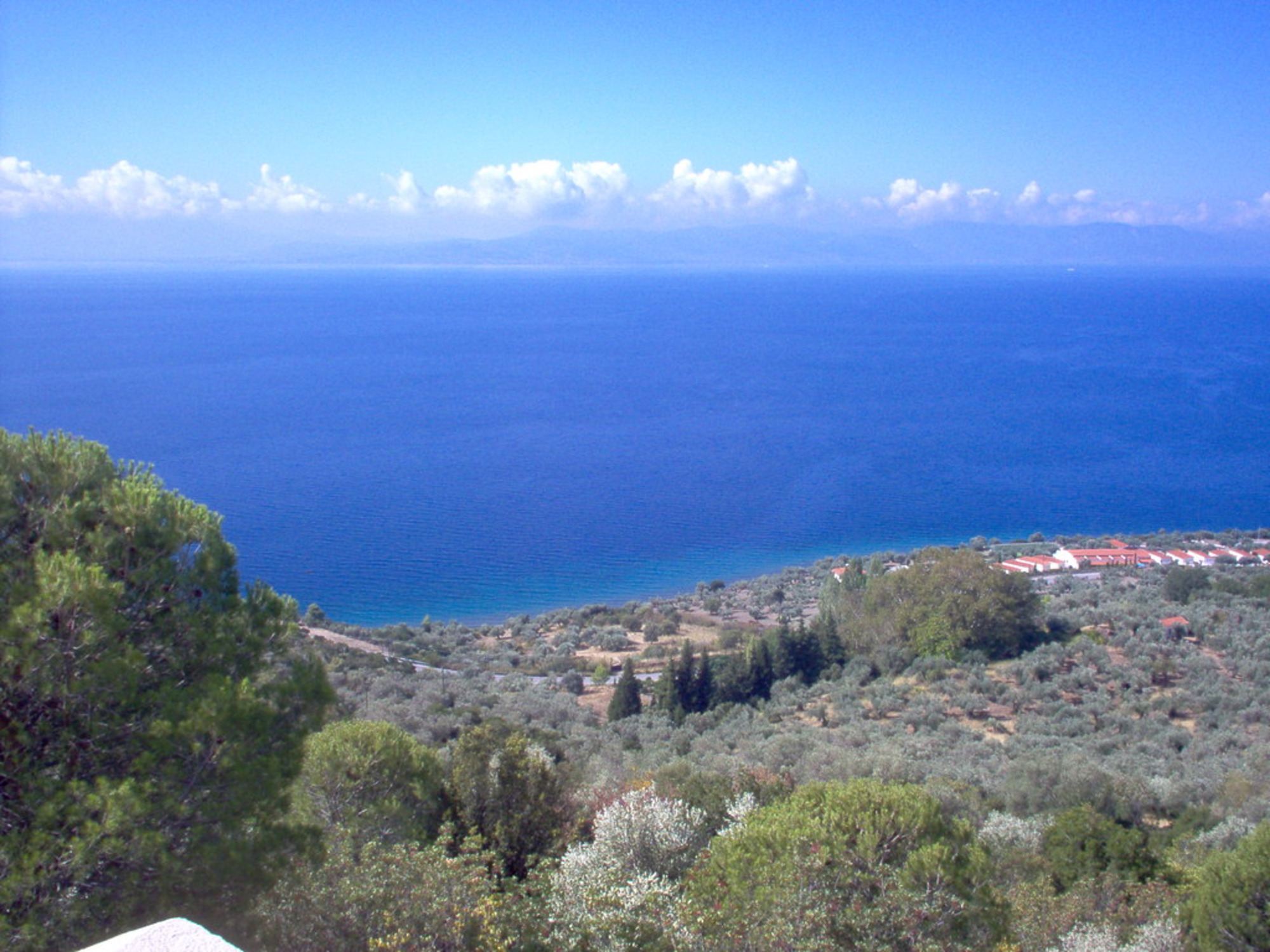 About North Evia