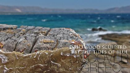  . . .Driftwood Sculpted By The Tides Of Blue . . .