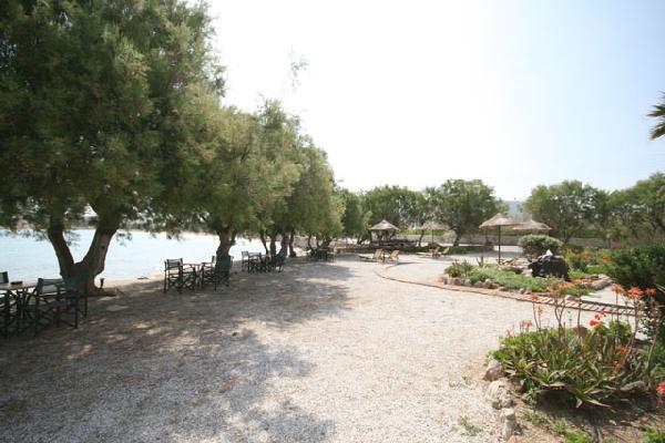PAPAKOSTA VASILIKI