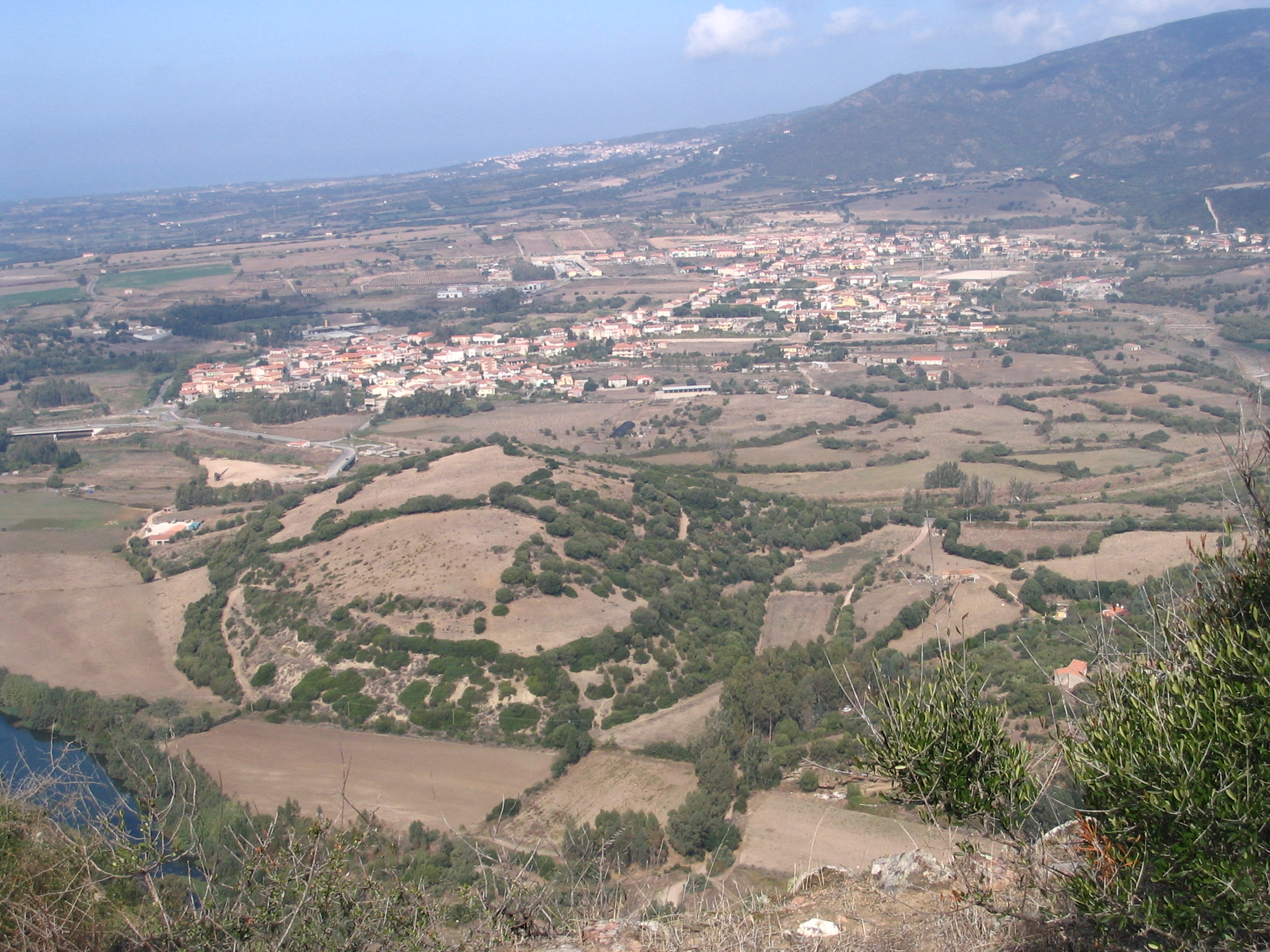 VIDDALBA