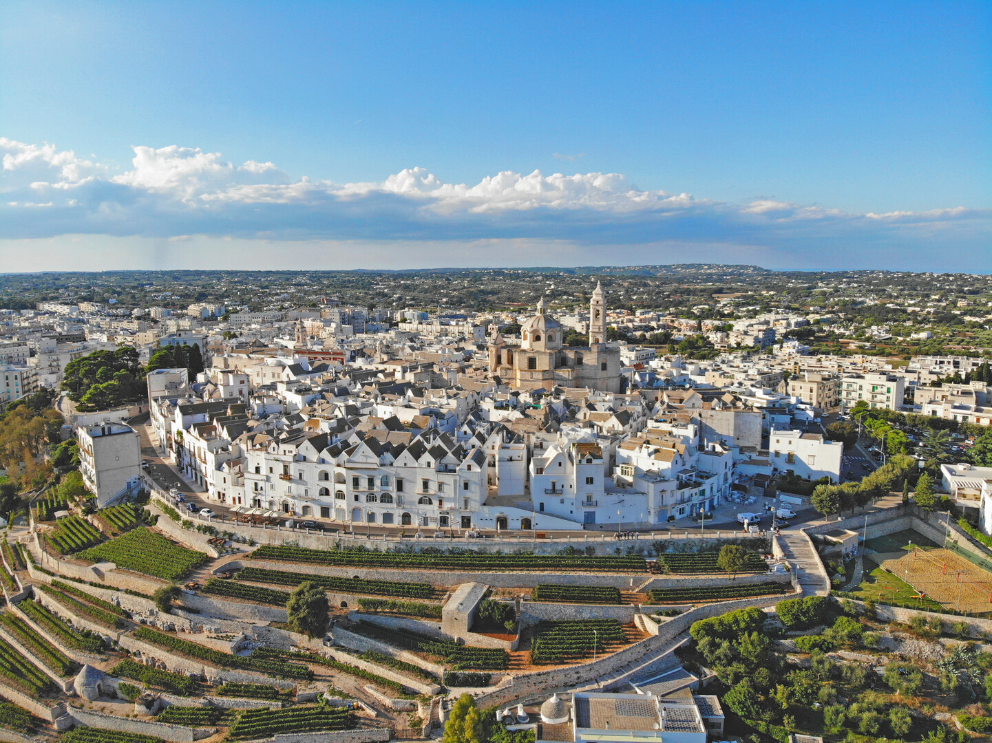 MARTINA FRANCA