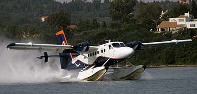 Tourists rediscover their sea wings