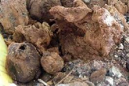 Ύφασμα 2.700 ετών βρέθηκε σε ανασκαφή στο Άργος