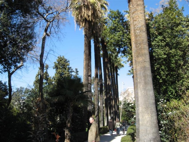 Athens