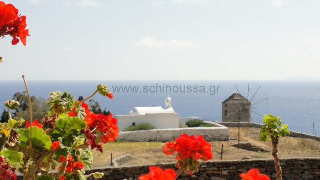 View from the village | Schinoussa
